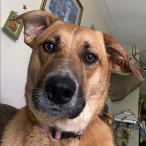 Meet your Posher, Teagan